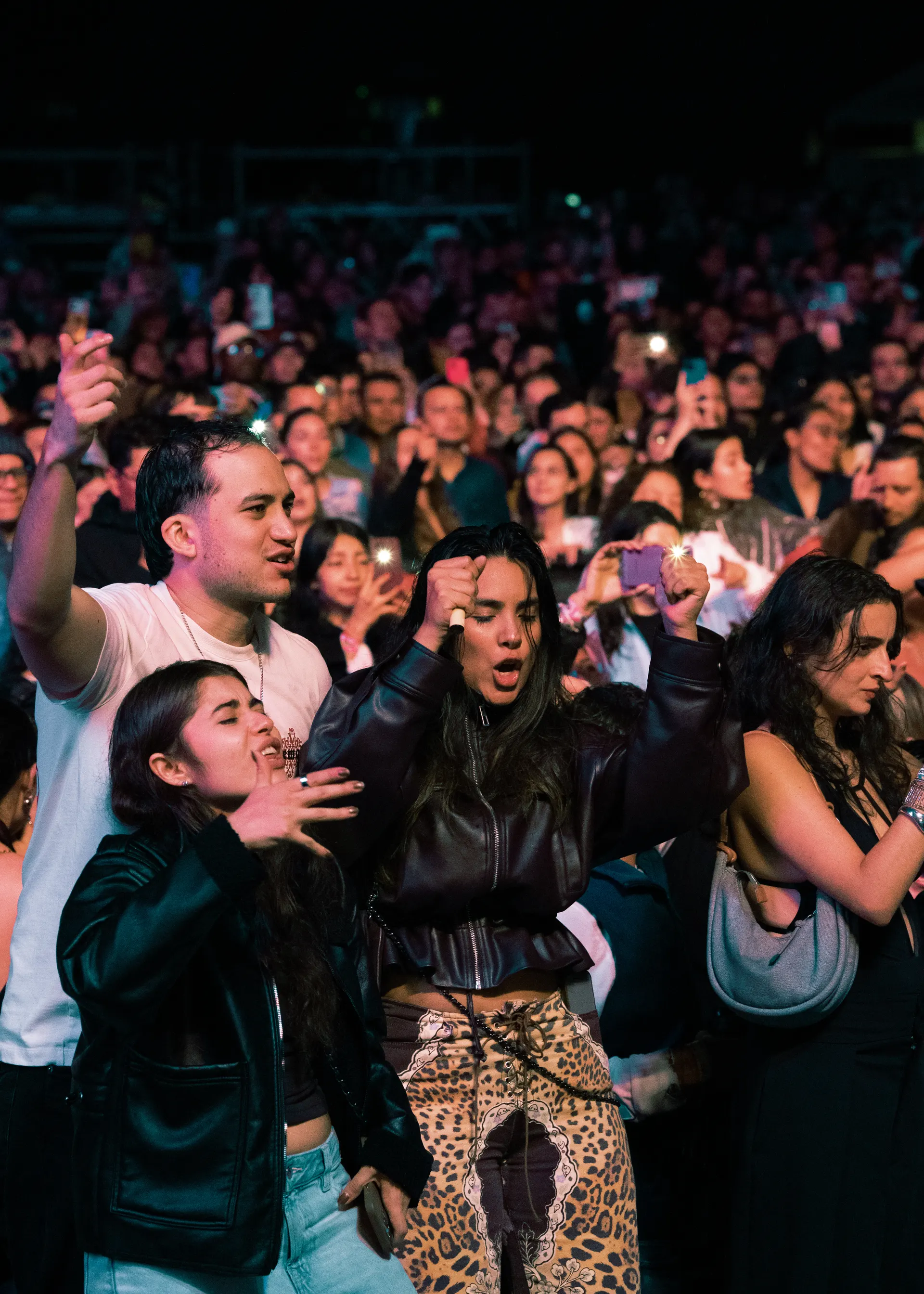 Público disfrutando de un concierto